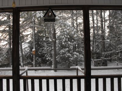 ./2010/Snow/thumbFeb